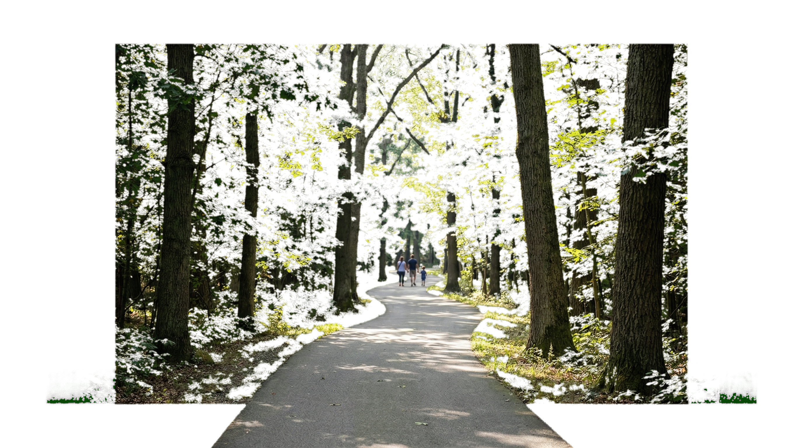 Scenic nature trail in Griffith Lakes community